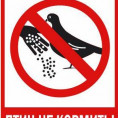 Нельзя кормить птиц на придомовой территории!
