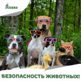 УВАЖАЕМЫЕ ВЛАДЕЛЬЦЫ СОБАК и КОШЕК