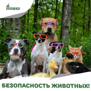УВАЖАЕМЫЕ ВЛАДЕЛЬЦЫ СОБАК и КОШЕК