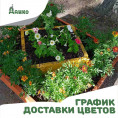 График доставки цветов