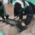 Видоизменили пандус