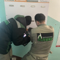 Приемка новых домов полным ходом