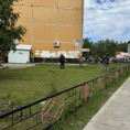 Сезон покоса травы открыт