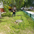 Покос травы закончен