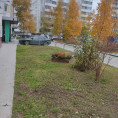 ПОРЯДОК НЕ ТОЛЬКО В ДОМЕ, НО И ВОЗЛЕ НЕГО