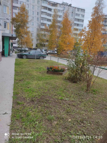 ПОРЯДОК НЕ ТОЛЬКО В ДОМЕ, НО И ВОЗЛЕ НЕГО