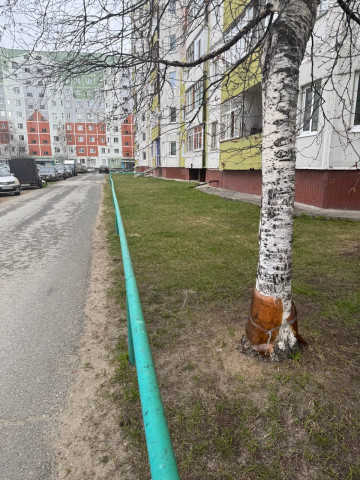 Тепло наконец-то пришло!