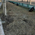 Весна пришла, ура