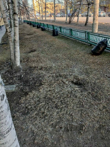 Весна пришла, ура