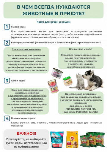 Как каждый из нас может помочь приютам для животных без владельцев!