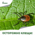 Осторожно клещи!