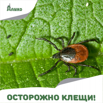 Осторожно клещи!