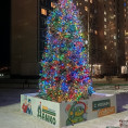 Волшебство Нового года приближается! 🎄